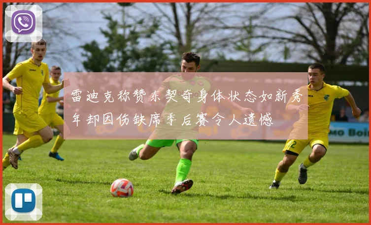 雷迪克称赞东契奇身体状态如新秀年却因伤缺席季后赛令人遗憾